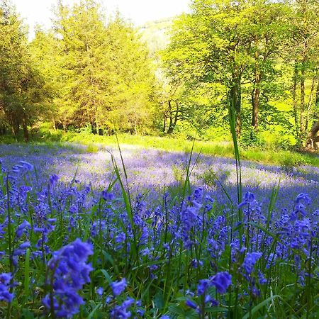 Lobhill Farmhouse Bed And Breakfast And Self Catering Accommodation Okehampton Zewnętrze zdjęcie