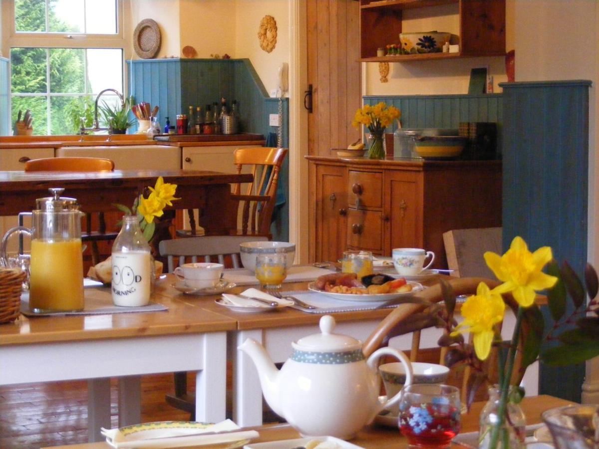 Lobhill Farmhouse Bed And Breakfast And Self Catering Accommodation Okehampton Zewnętrze zdjęcie