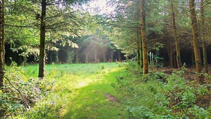 Lobhill Farmhouse Bed And Breakfast And Self Catering Accommodation Okehampton Pokój zdjęcie