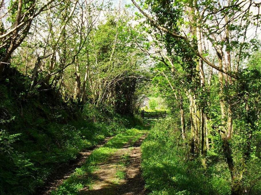 Lobhill Farmhouse Bed And Breakfast And Self Catering Accommodation Okehampton Pokój zdjęcie